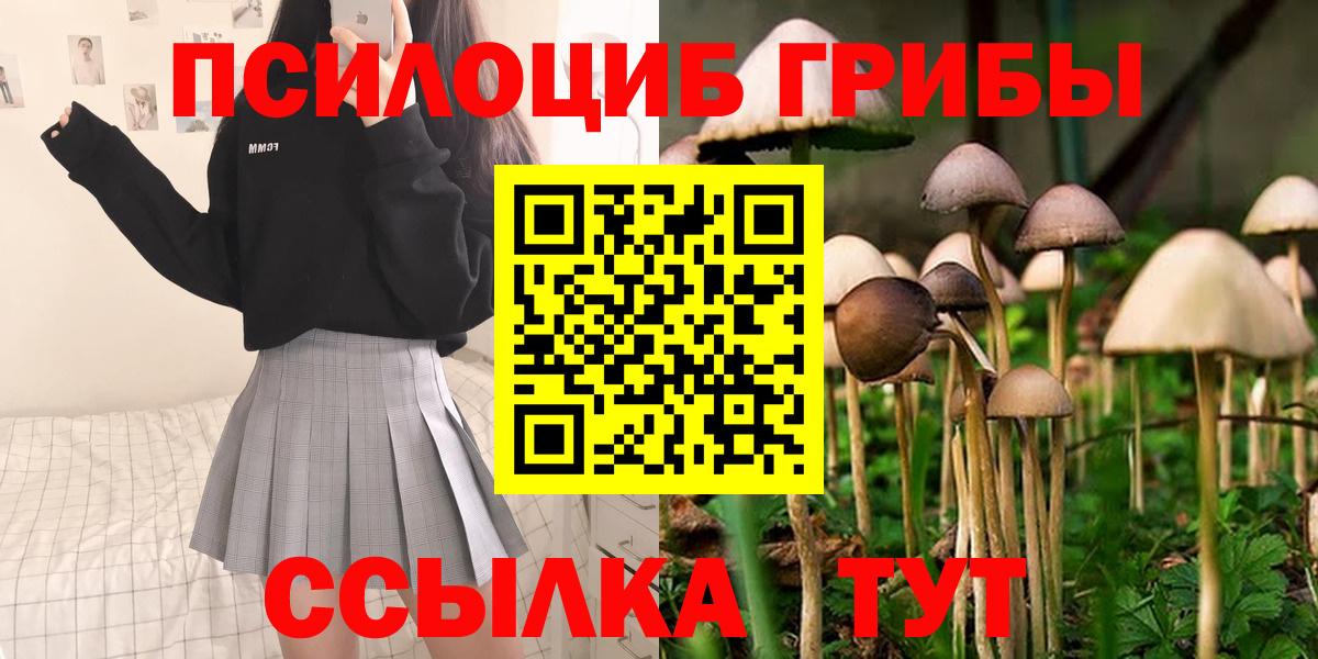 цены наркотик  Вход с VPN  Вичуга  Псилоцибиновые грибы Cubensis 